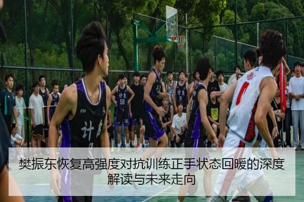 樊振东恢复高强度对抗训练正手状态回暖的深度解读与未来走向 - bilibili com
